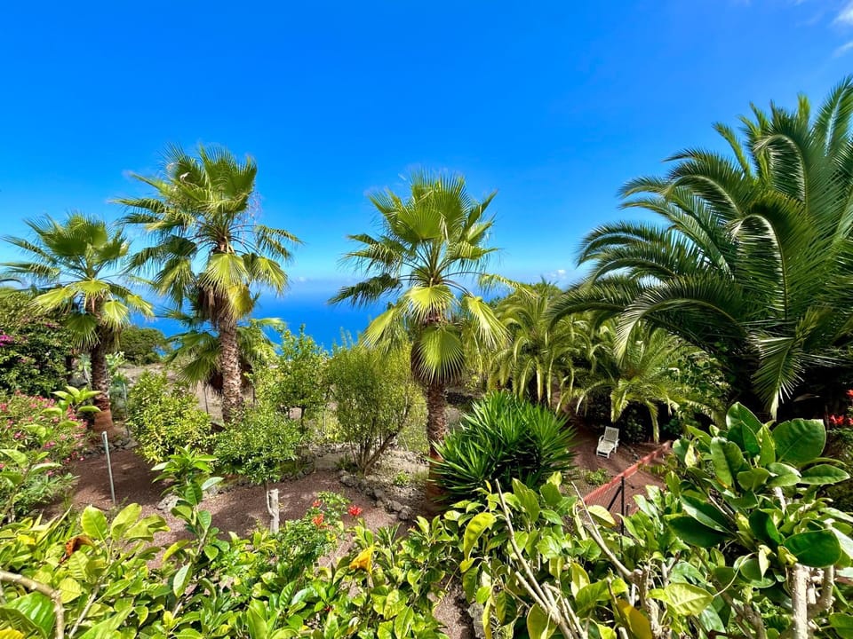 Garden, Garden view