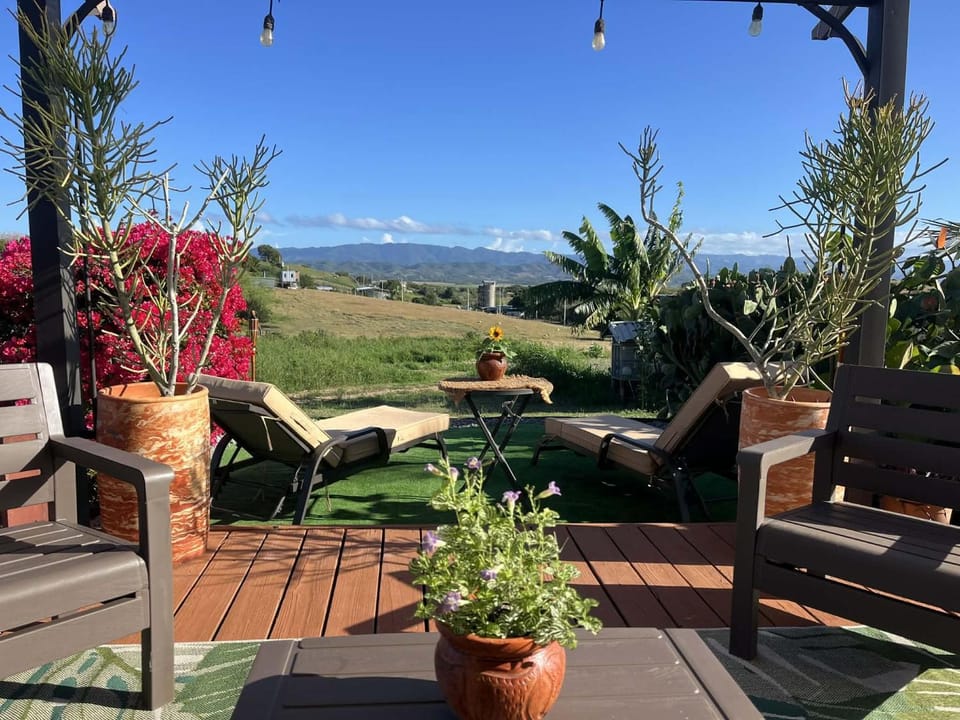 Patio, Natural landscape, Garden view