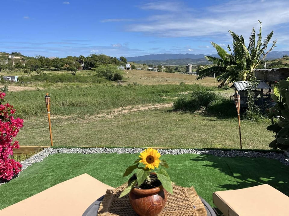 Garden view, Mountain view