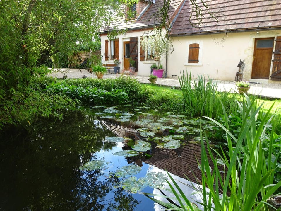 Natural landscape, Garden view