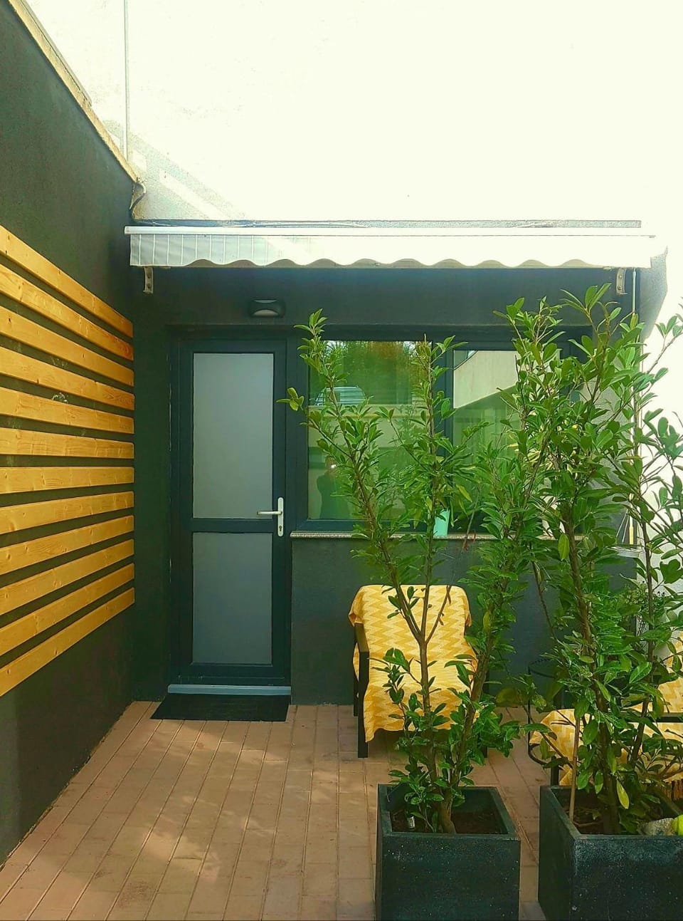 Luxury Studio Apartment in Moldova