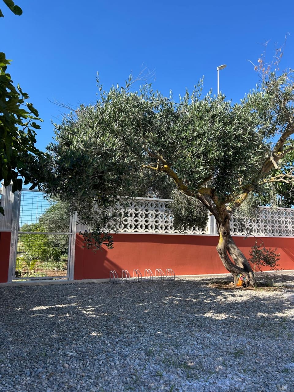 Garden, Garden view