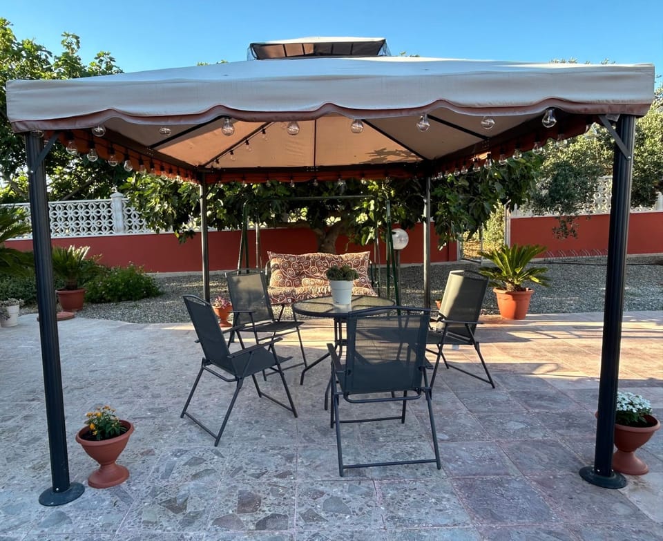 Patio, Garden, View (from property/room)