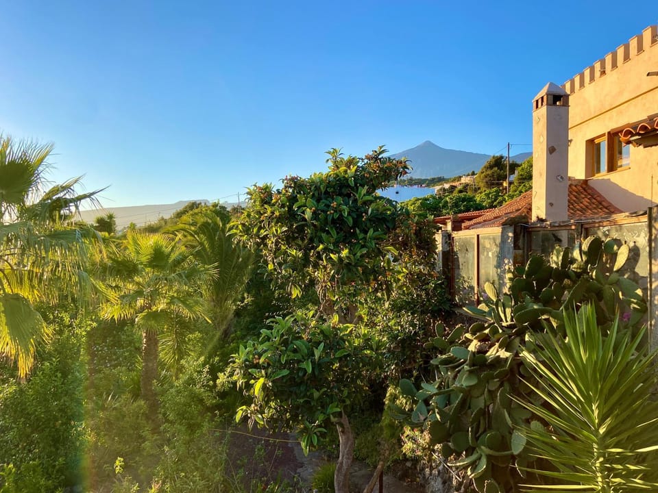 Natural landscape, Garden, Garden view, Mountain view