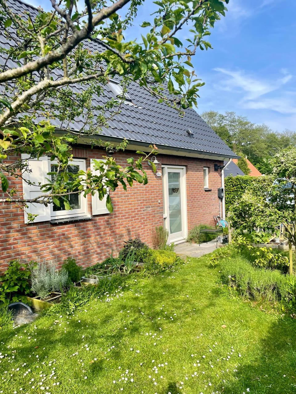 Day, Garden, Garden view