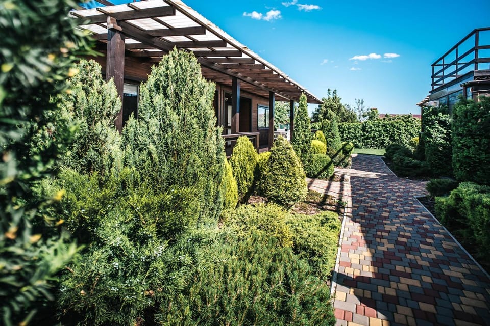 Spring, Day, Garden, Garden view