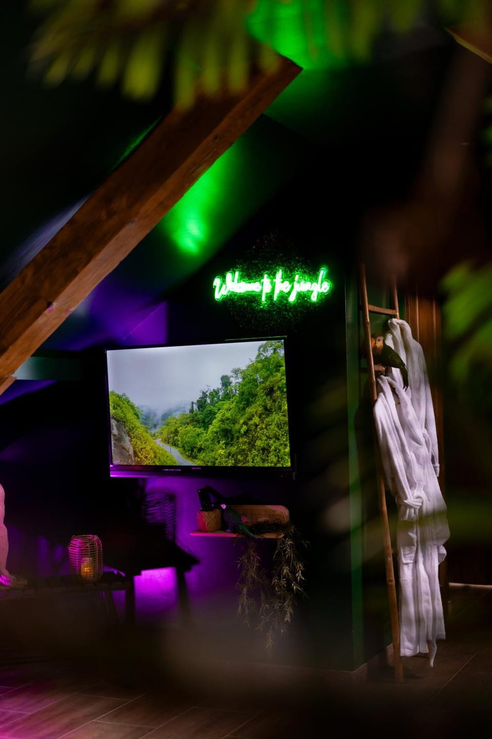 Dynasty Jungle Spa Jacuzzi Apartment in Baden-Württemberg