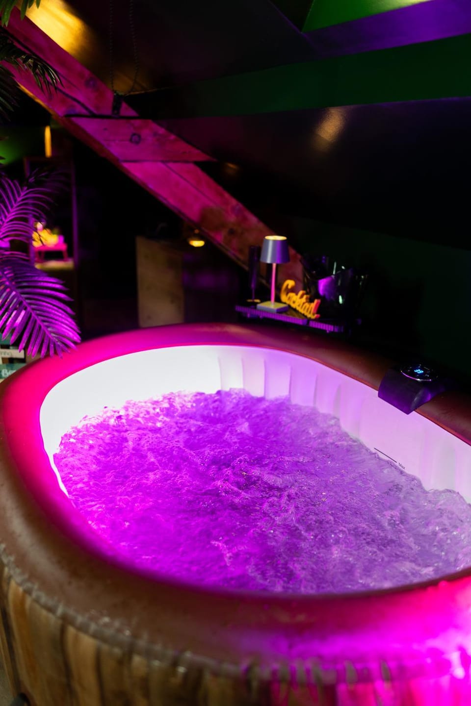 Dynasty Jungle Spa Jacuzzi Apartment in Baden-Württemberg