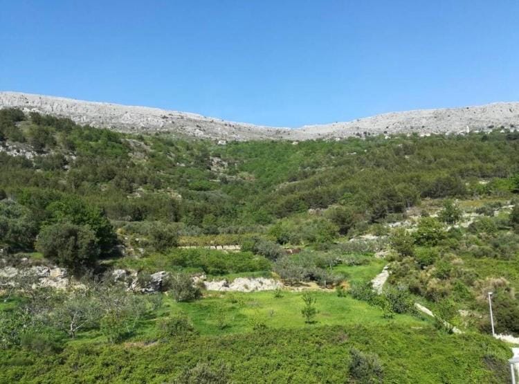 Natural landscape