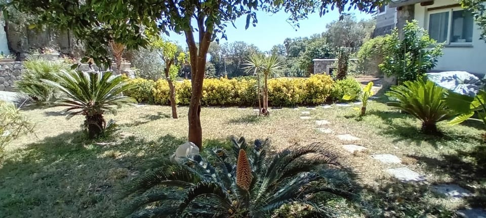 Day, Garden, Garden view