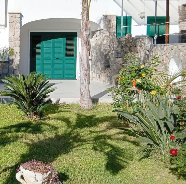 Day, Garden, Garden view