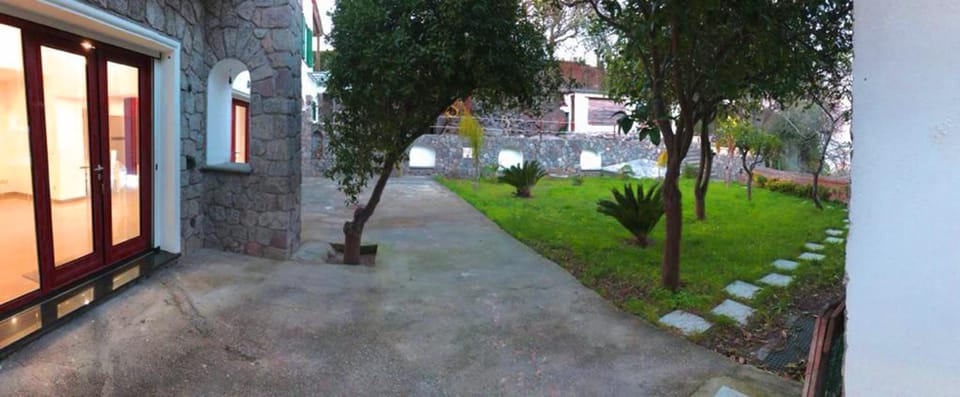 Night, Garden, Garden view