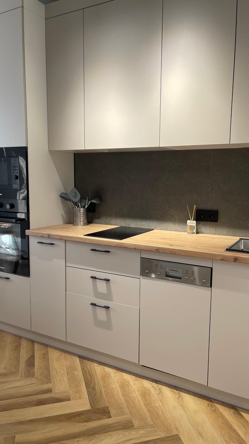 Kitchen or kitchenette, dishwasher, stove