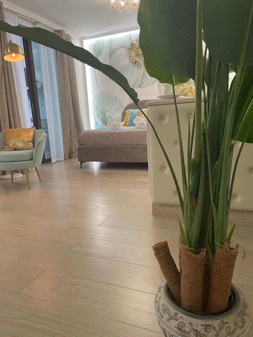 Photo of the whole room