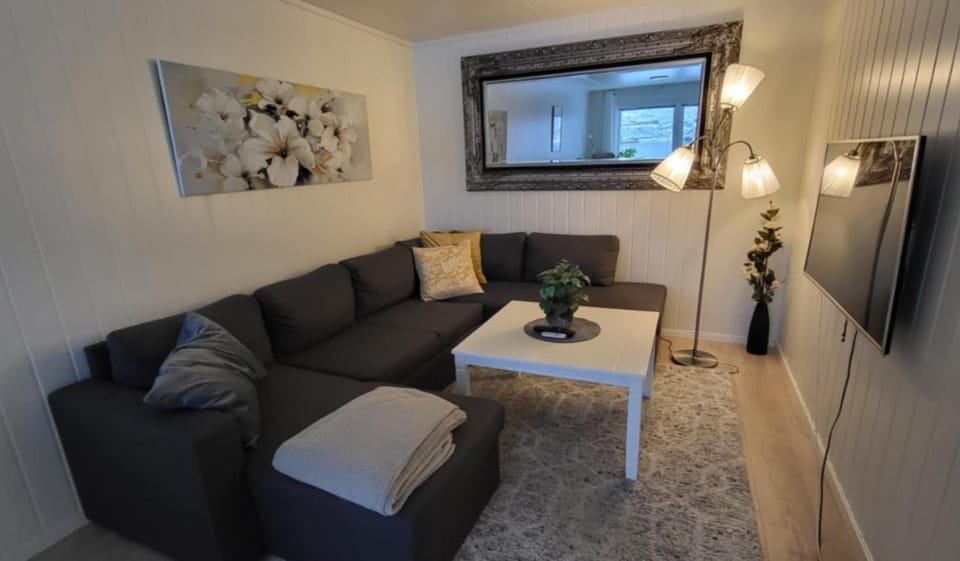 Perfect apartment for whale safari at Skjervøy! Apartment in Lapland