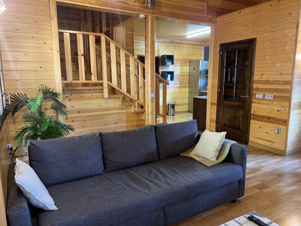 Living room, kitchen