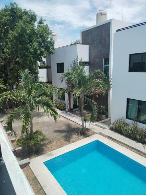 Garden, Swimming pool