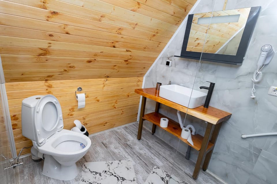Toilet, Bathroom