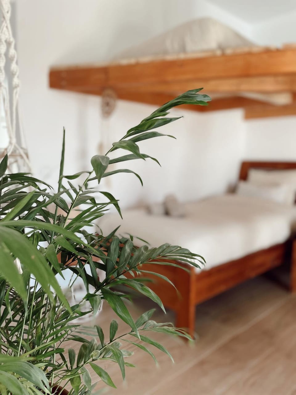 Surf & Yoga Retreats Fuerteventura Resort in Maxorata