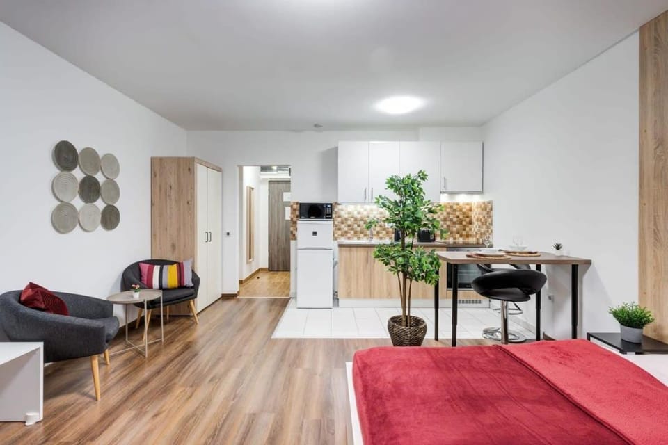 Homey new studio great central area Apartment in Budapest