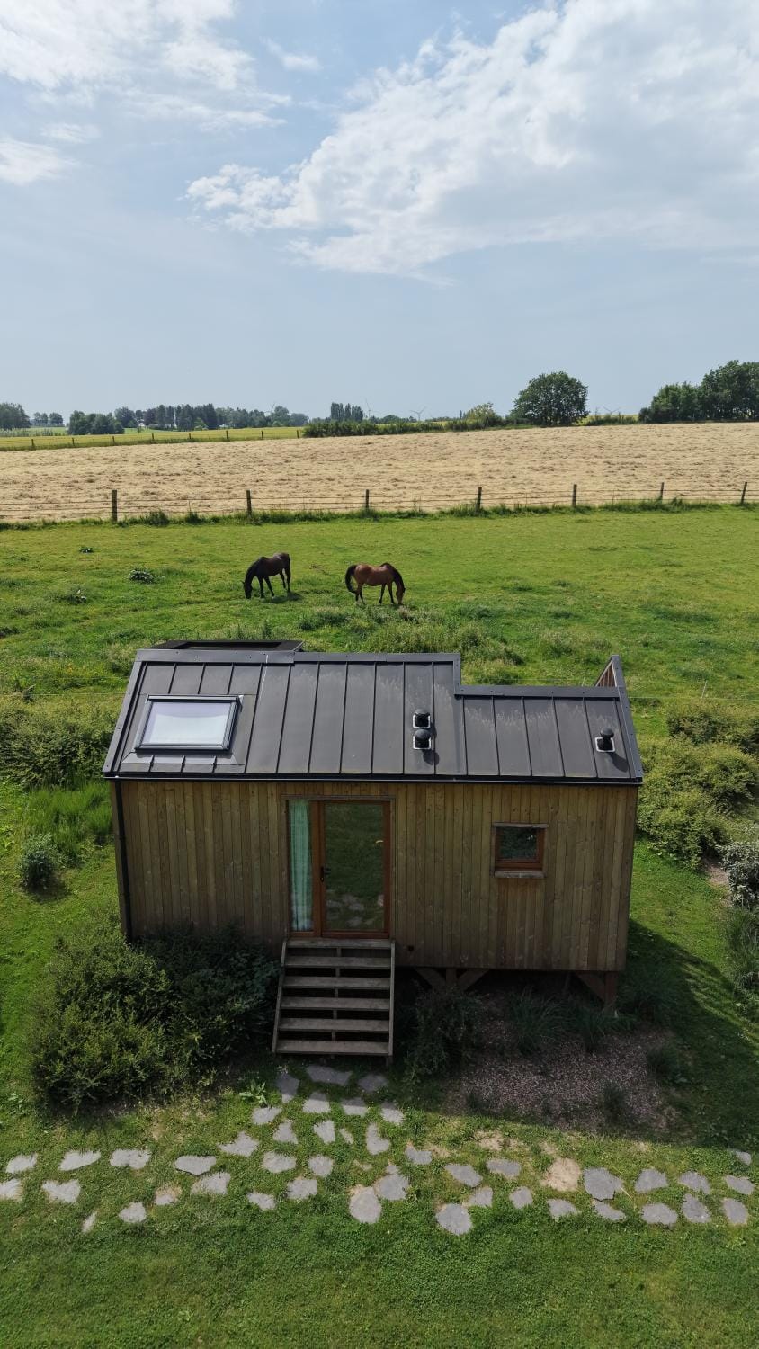 View (from property/room), Garden view