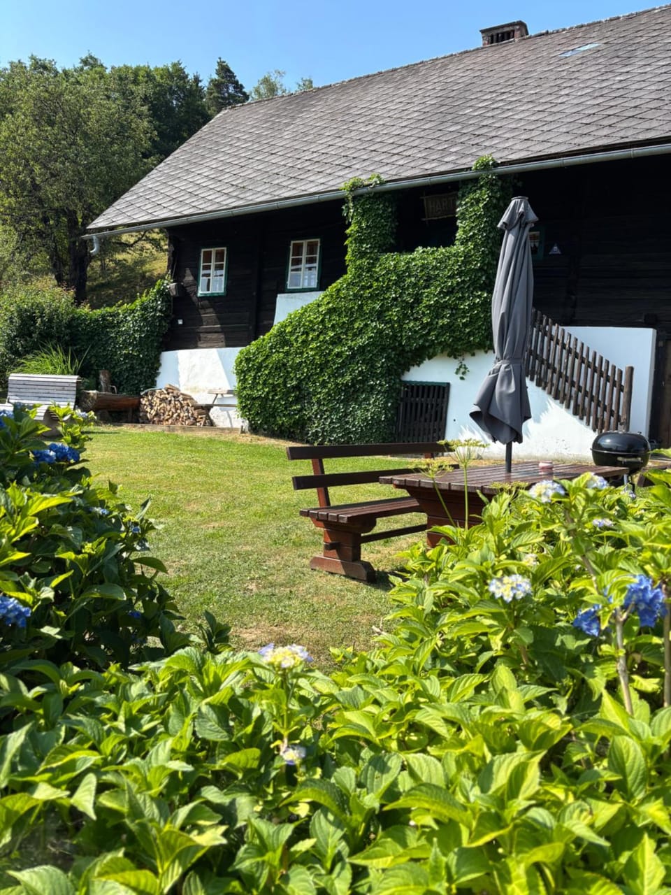 Almhaus Veitlmichl Apartment in Styria