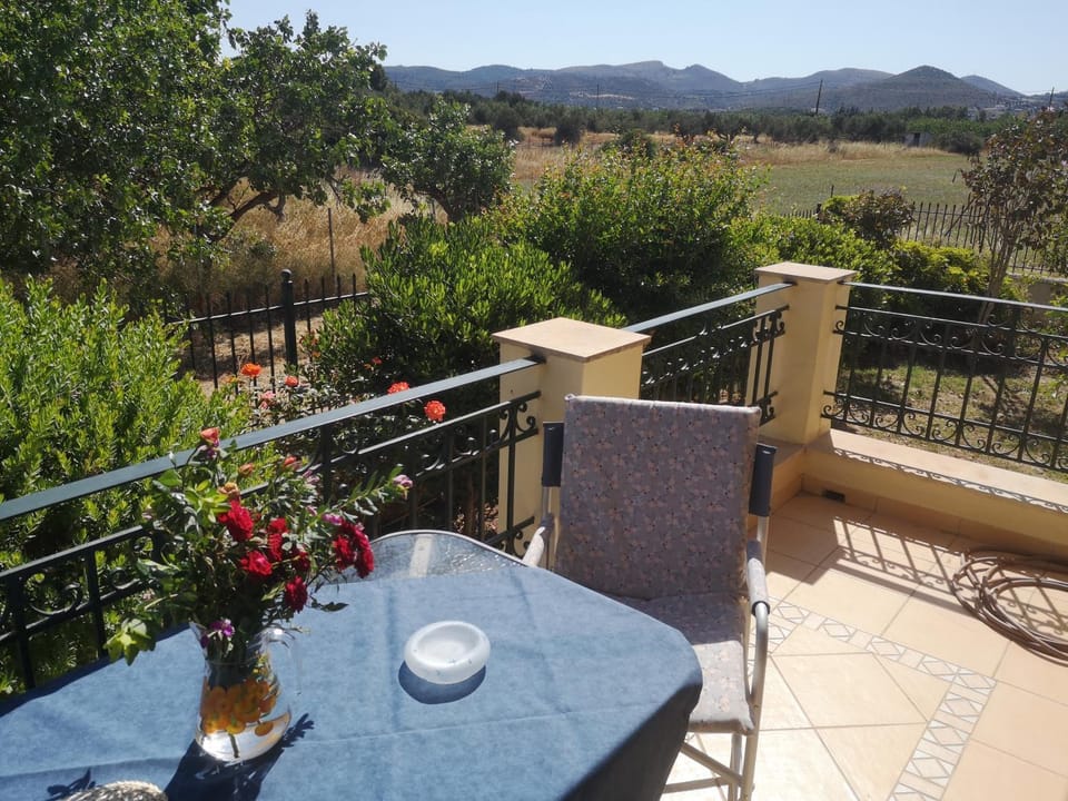 Balcony/Terrace, Balcony/Terrace