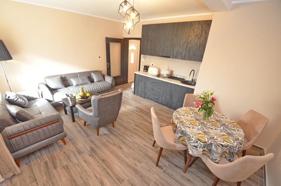 Kitchen or kitchenette, Living room, Seating area, Dining area