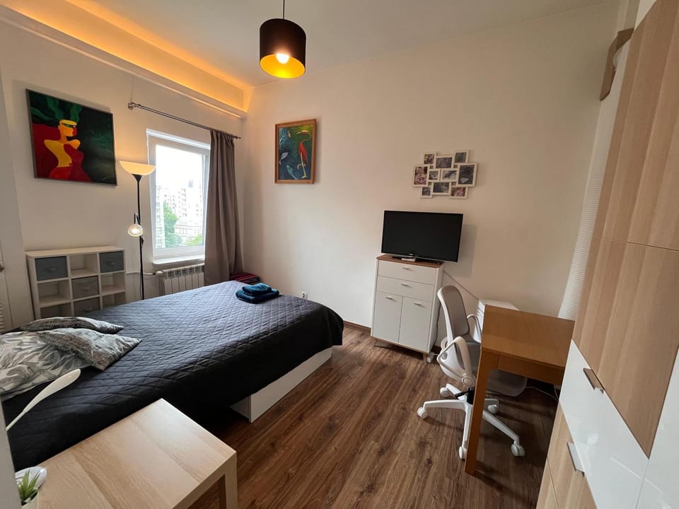 Bed, TV and multimedia