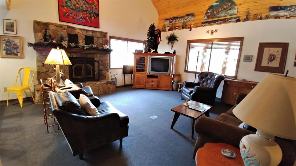 Day, TV and multimedia, Living room, Seating area, fireplace, furniture