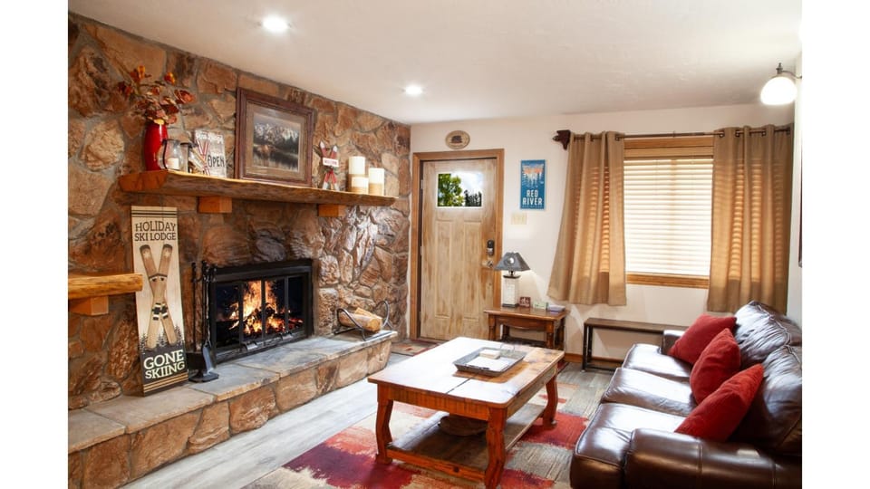 Day, TV and multimedia, Living room, Seating area, fireplace, furniture