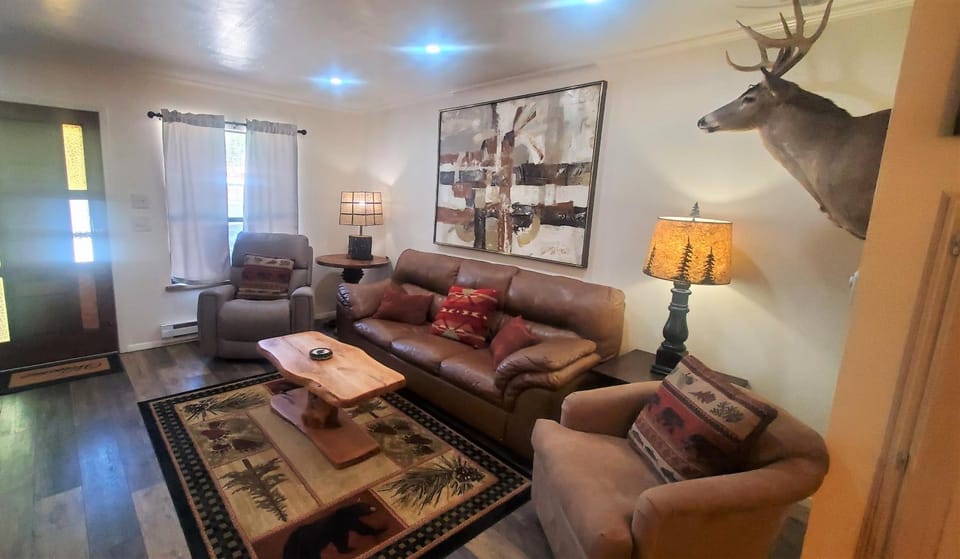 Day, Living room, Animals, furniture