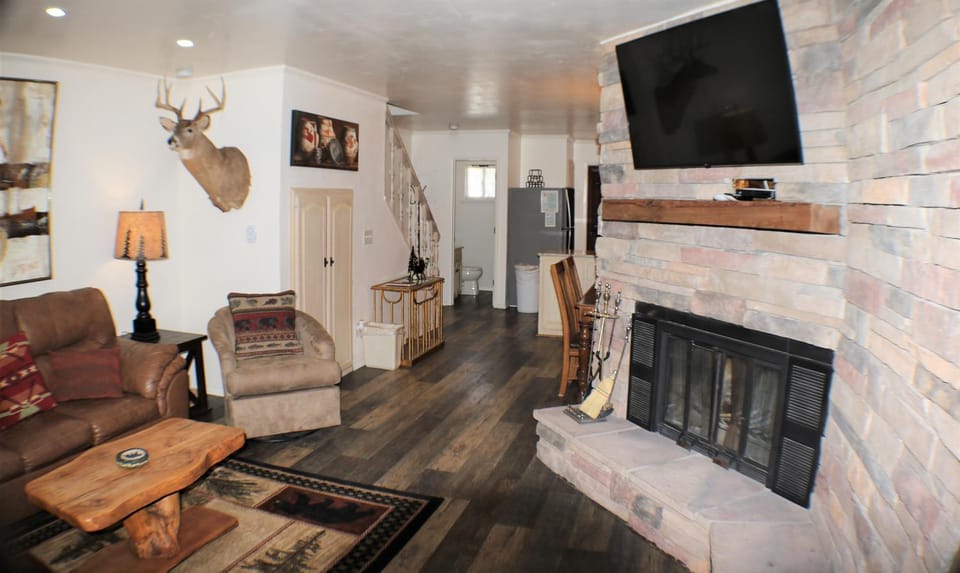 Day, TV and multimedia, Living room, fireplace, furniture