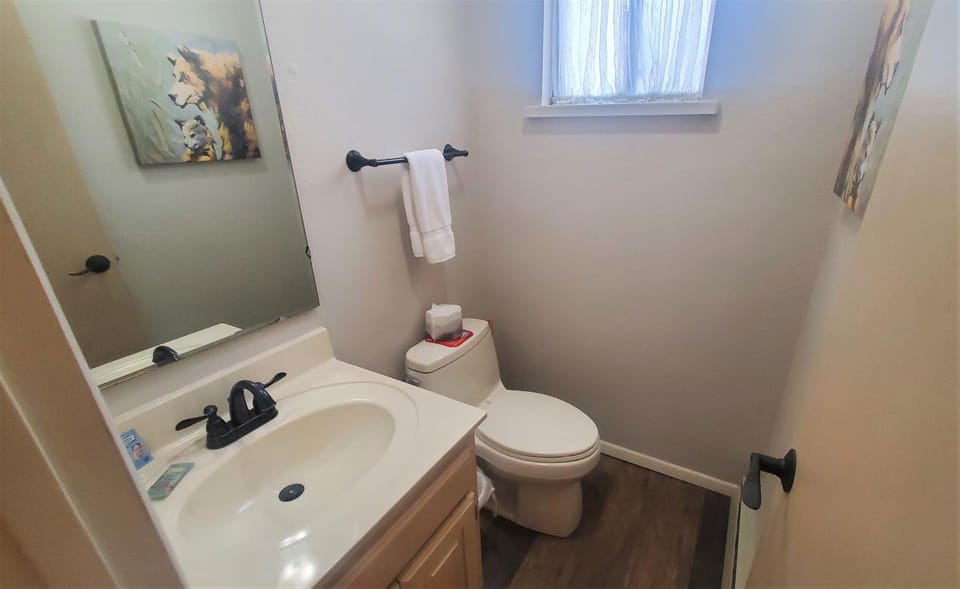 Toilet, Bathroom, towels