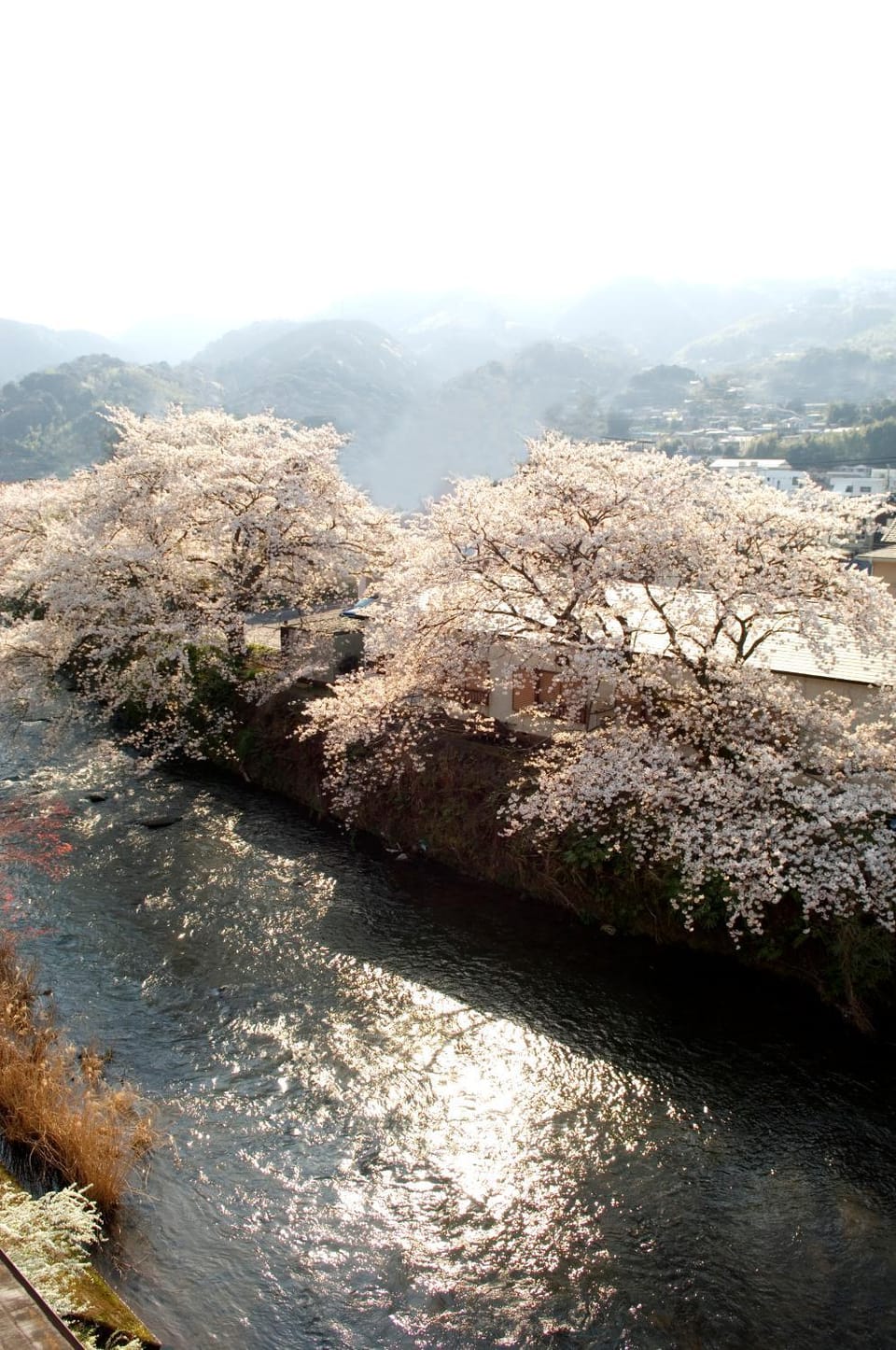 Spring, River view