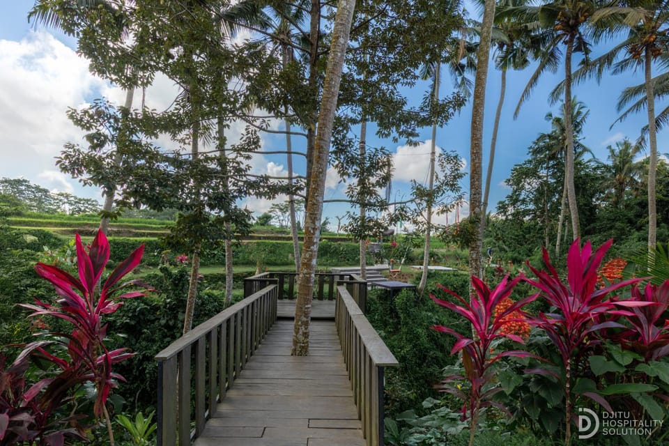 Natural landscape, Garden, Garden view
