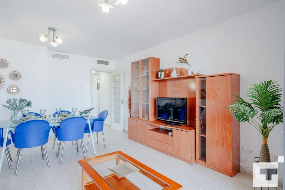Bed, TV and multimedia, Dining area