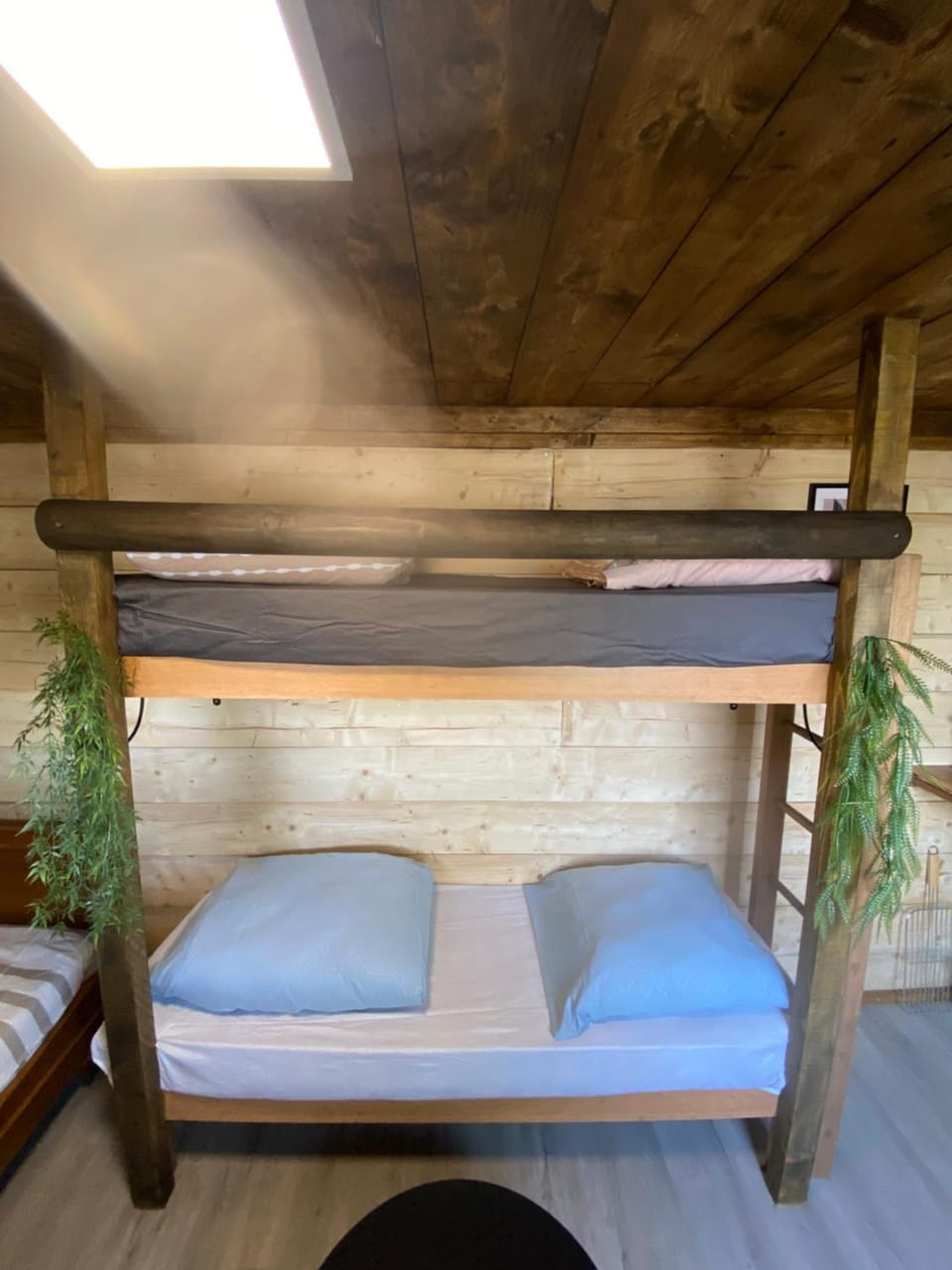 bunk bed