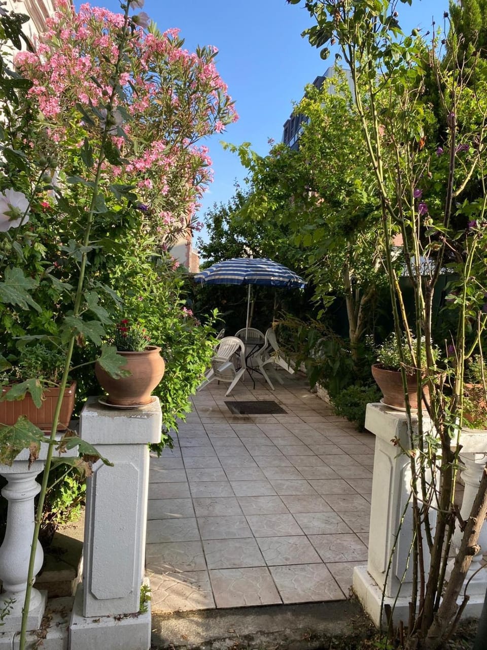 Garden
