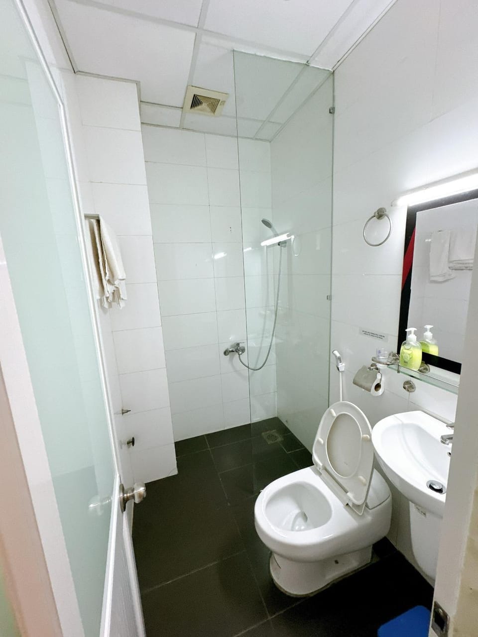 Shower, Toilet, Bathroom, bidet