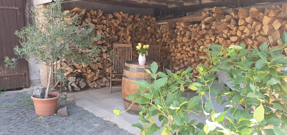 Gästehaus Ringhof Apartment in Rhineland-Palatinate