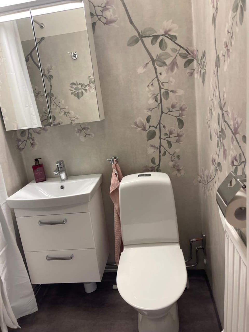 Toilet, Bathroom