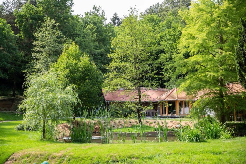 Property building, Spring, Day, Natural landscape, Banquet/Function facilities, Garden view, Lake view, wedding, wedding