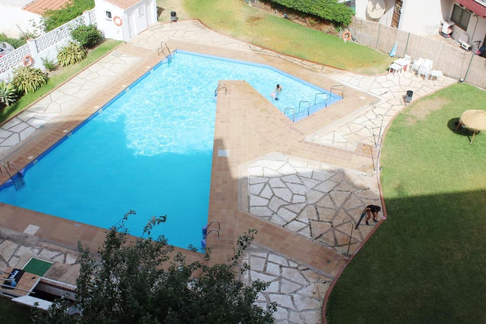 Garden, Pool view, Swimming pool
