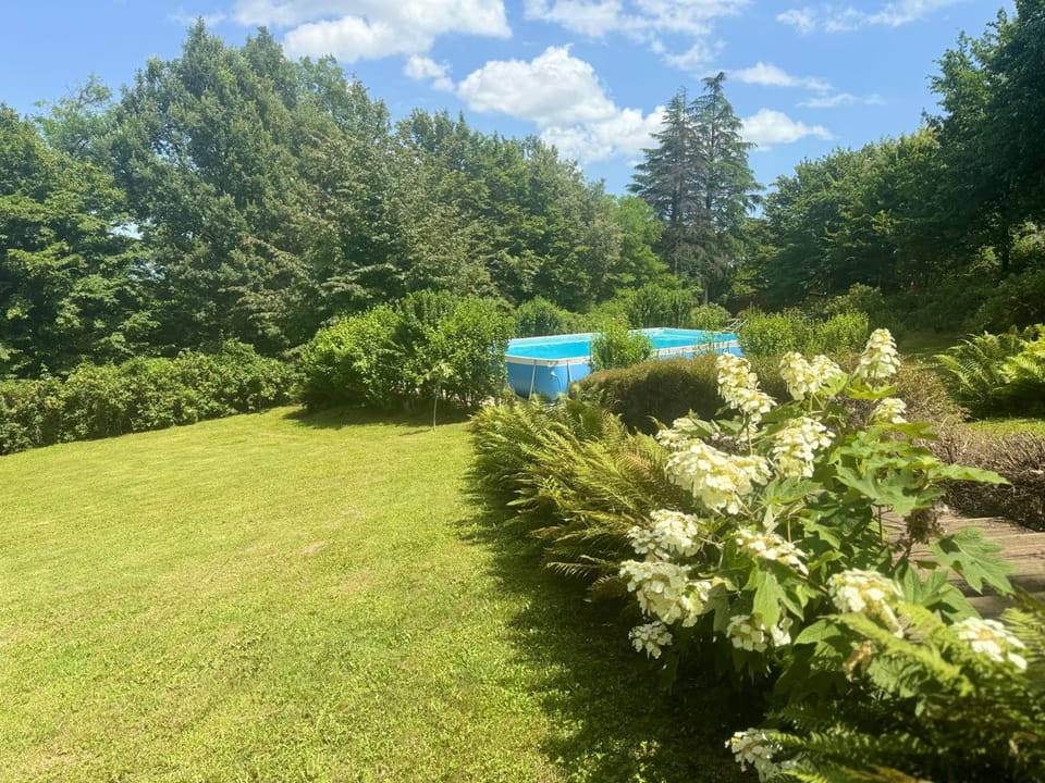 Spring, Day, Natural landscape, Pool view, Swimming pool