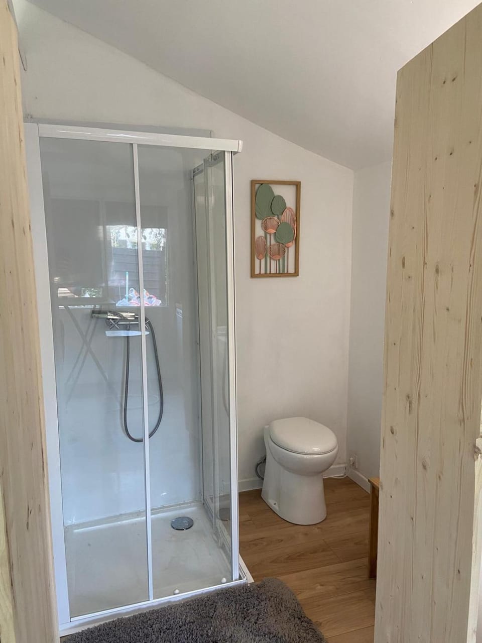 Shower, Toilet, Bathroom