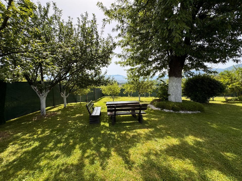 Natural landscape, Garden, Garden view