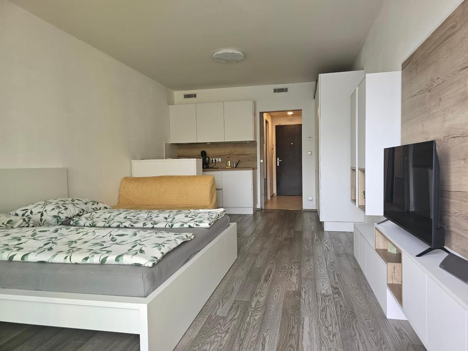 Bed, TV and multimedia, Photo of the whole room