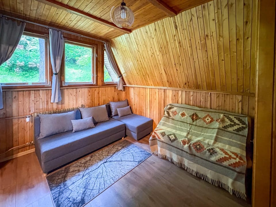 Willa Zielony Świat Villa in Lesser Poland Voivodeship