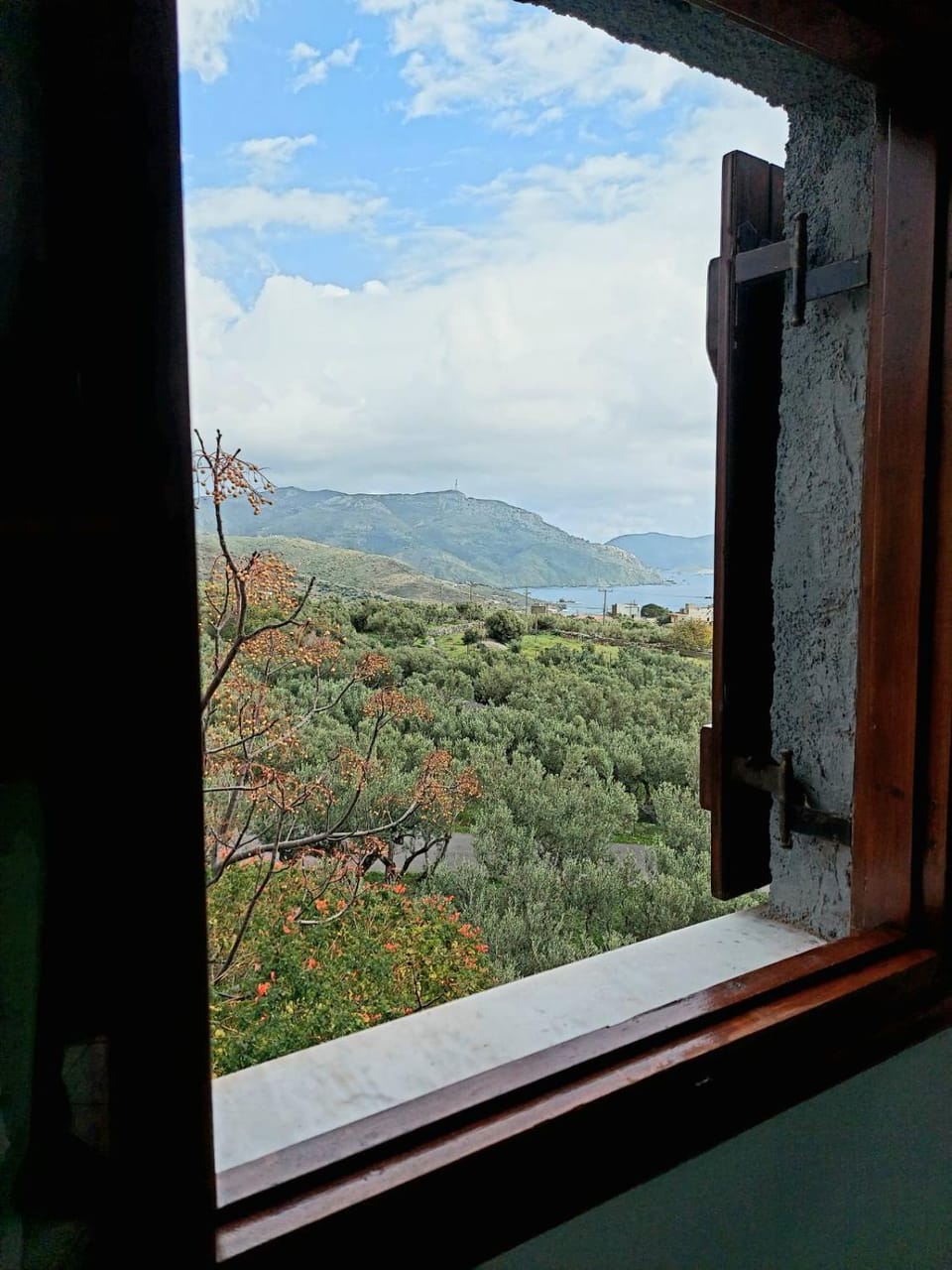 Natural landscape